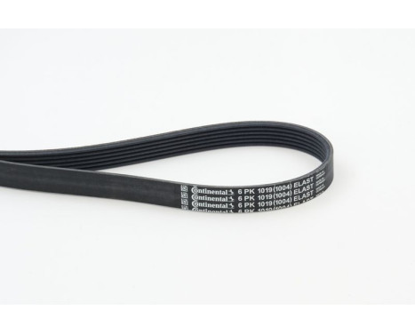 V-Ribbed Belts 6PK1019 ELAST Contitech, Image 2