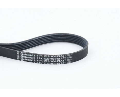 V-Ribbed Belts 6PK1029ELAST Contitech, Image 2