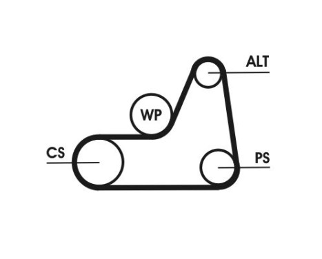 V-Ribbed Belts 6PK1042 ELAST Contitech, Image 3