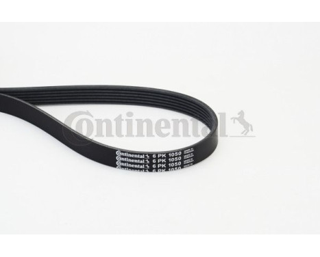 V-Ribbed Belts 6PK1050 Contitech, Image 2