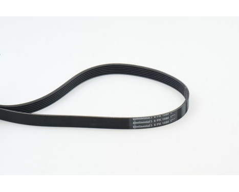 V-Ribbed Belts 6PK1080 Contitech, Image 2