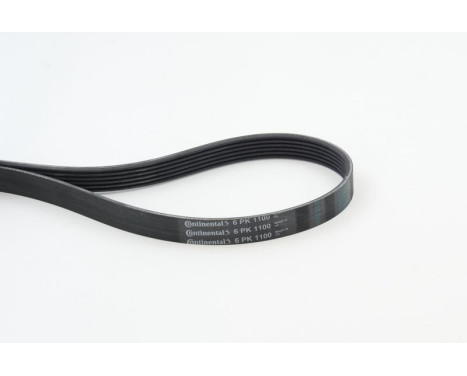 V-Ribbed Belts 6PK1100 Contitech, Image 2