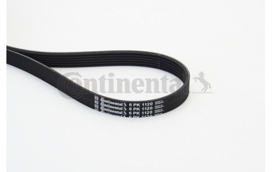 V-Ribbed Belts 6PK1120 Contitech