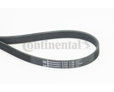 V-Ribbed Belts 6PK1130 Contitech, Image 2