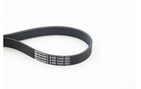 V-Ribbed Belts 6PK1145 Contitech