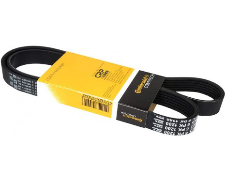 V-Ribbed Belts 6PK1200 Contitech