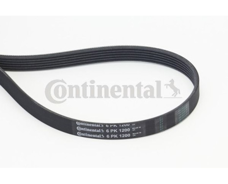 V-Ribbed Belts 6PK1200 Contitech, Image 2