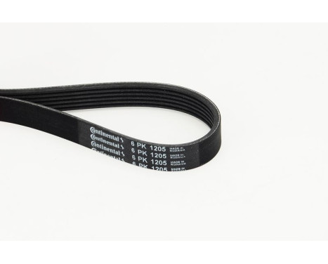 V-Ribbed Belts 6PK1205 Contitech, Image 2