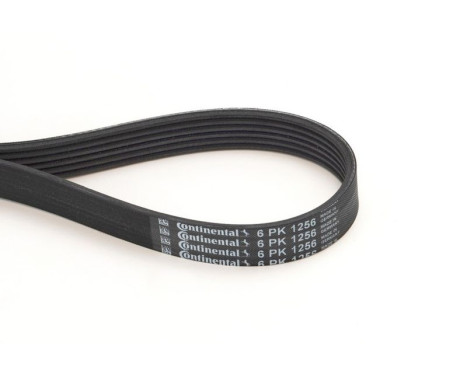 V-Ribbed Belts 6PK1256 Contitech, Image 2