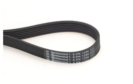 V-Ribbed Belts 6PK1256 Contitech, Image 2