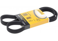 V-Ribbed Belts 6PK1264 Contitech