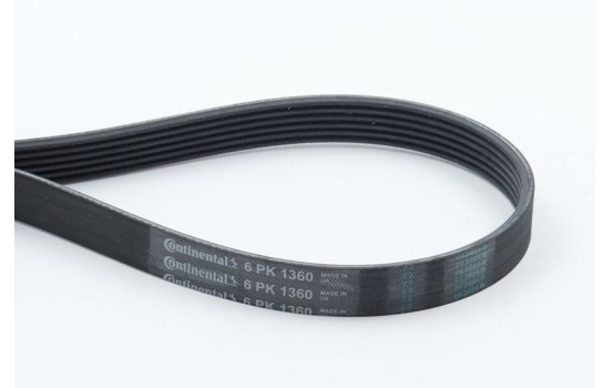 V-Ribbed Belts 6PK1360 Contitech