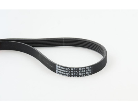 V-Ribbed Belts 6PK1370 Contitech