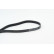 V-Ribbed Belts 6PK1453 Contitech, Thumbnail 2
