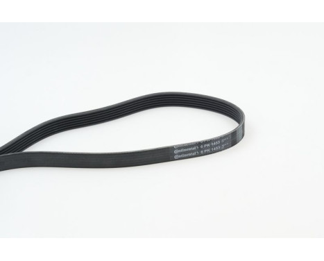 V-Ribbed Belts 6PK1453 Contitech, Image 2