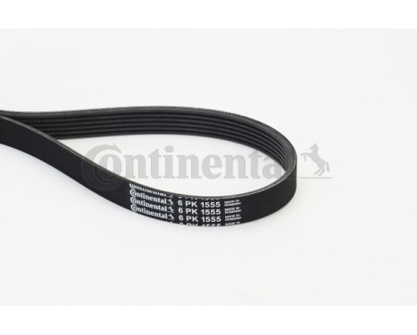 V-Ribbed Belts 6PK1555 Contitech, Image 2