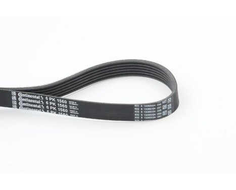 V-Ribbed Belts 6PK1560 Contitech, Image 2