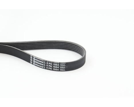 V-Ribbed Belts 6PK1564 Contitech, Image 2