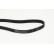 V-Ribbed Belts 6PK1570 Contitech, Thumbnail 2