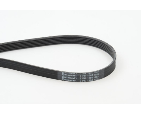 V-Ribbed Belts 6PK1580 Contitech, Image 2