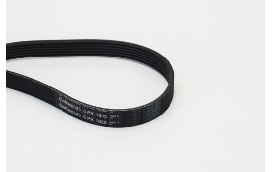 V-Ribbed Belts 6PK1605 Contitech