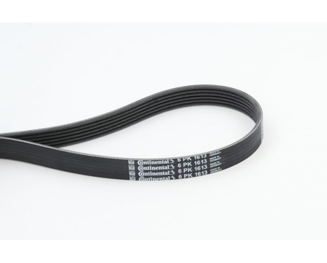 V-Ribbed Belts 6PK1613 Contitech, Image 2