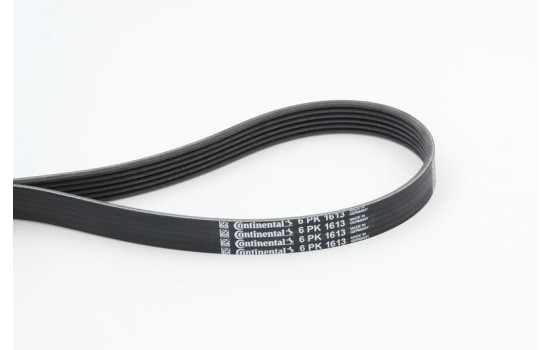 V-Ribbed Belts 6PK1613 Contitech, Image 2