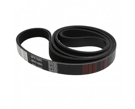 V-Ribbed Belts 6PK1660 Contitech