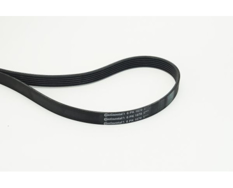 V-Ribbed Belts 6PK1670 Contitech, Image 2