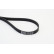 V-Ribbed Belts 6PK1698 Contitech, Thumbnail 2