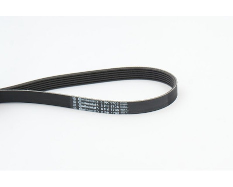 V-Ribbed Belts 6PK1705 Contitech, Image 2