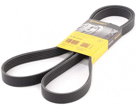 V-Ribbed Belts 6PK1710 Contitech