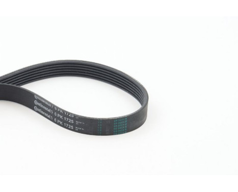 V-Ribbed Belts 6PK1725 Contitech, Image 2