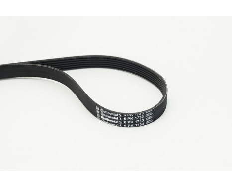 V-Ribbed Belts 6PK1733 Contitech, Image 2