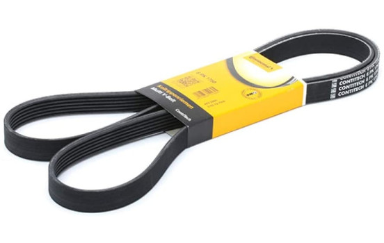 V-Ribbed Belts 6PK1750 Contitech
