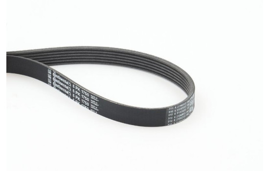V-Ribbed Belts 6PK1750 Contitech, Image 2