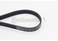 V-Ribbed Belts 6PK1780 Contitech