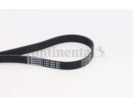 V-Ribbed Belts 6PK1836 Contitech, Image 2