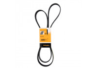 V-Ribbed Belts 6PK1893 Contitech