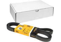 V-Ribbed Belts 6PK1930 Contitech