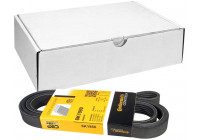 V-Ribbed Belts 6PK1980 Contitech