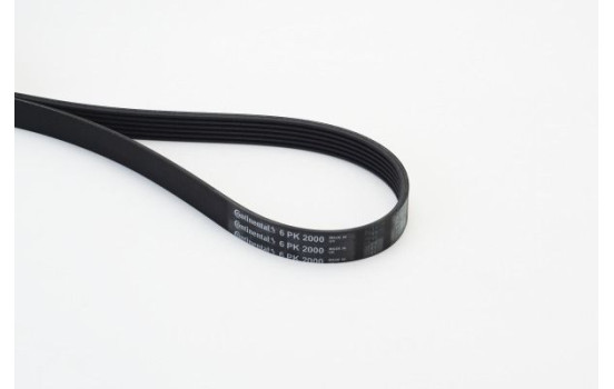 V-Ribbed Belts 6PK2000 Contitech