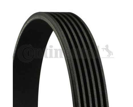 V-Ribbed Belts 6PK2160 Contitech, Image 2