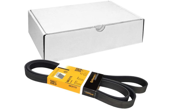 V-Ribbed Belts 6PK2175 Contitech