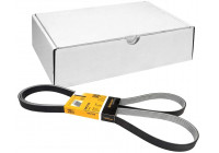 V-Ribbed Belts 6PK2196 Contitech