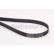 V-Ribbed Belts 6PK2260 Contitech, Thumbnail 2