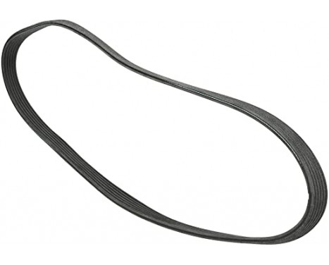V-Ribbed Belts 6PK2581 Contitech