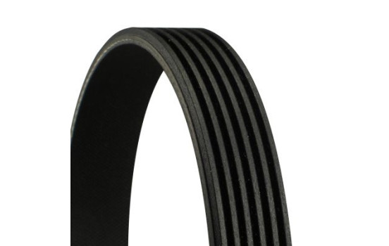 V-Ribbed Belts 6PK2870 Contitech
