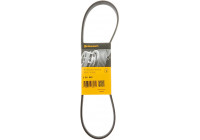 V-Ribbed Belts 6PK850 Contitech