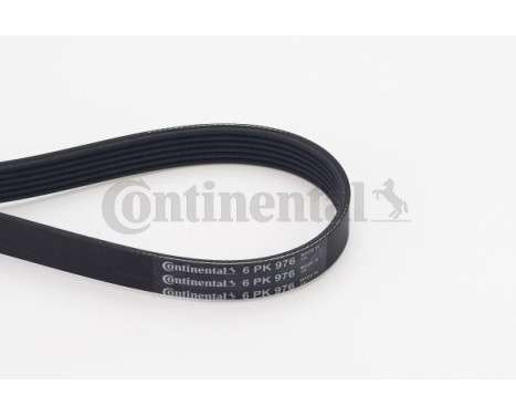 V-Ribbed Belts 6PK976 Contitech, Image 2